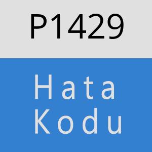 P1429 hatasi