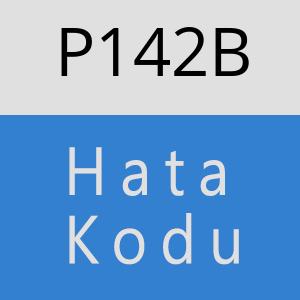 P142B hatasi