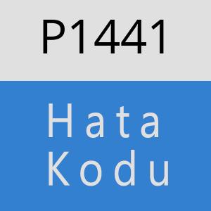 P1441 hatasi