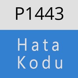 P1443 hatasi