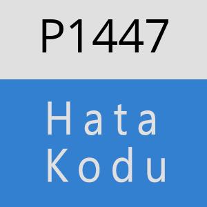 P1447 hatasi