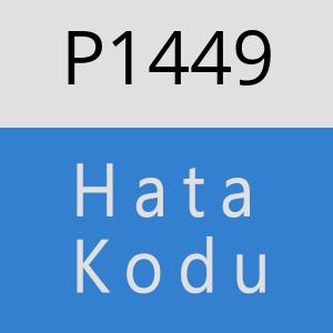 P1449 hatasi