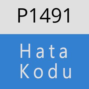 P1491 hatasi