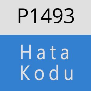 P1493 hatasi