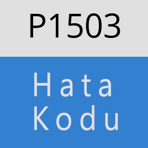 P1503 hatasi