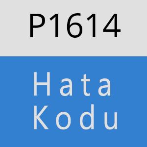 P1614 hatasi