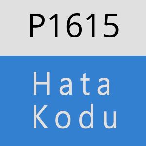 P1615 hatasi