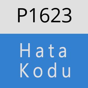 P1623 hatasi