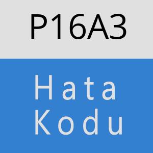 P16A3 hatasi