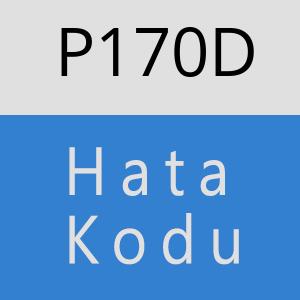 P170D hatasi