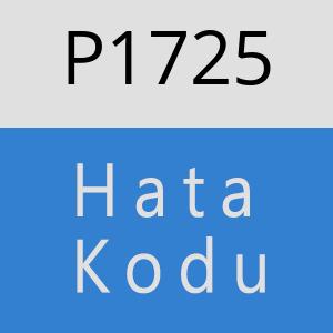 P1725 hatasi