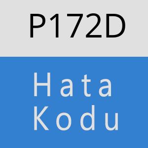 P172D hatasi