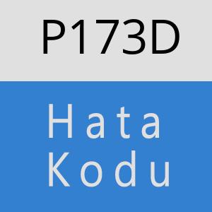 P173D hatasi