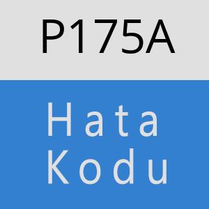 P175A hatasi