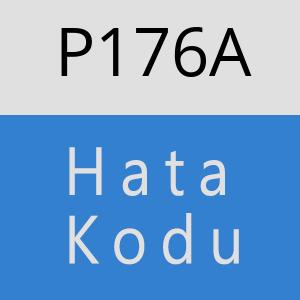 P176A hatasi