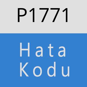 P1771 hatasi