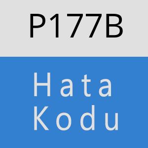 P177B hatasi