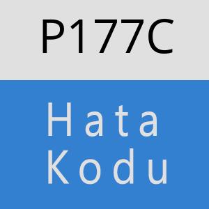 P177C hatasi