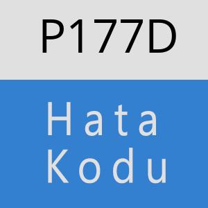 P177D hatasi