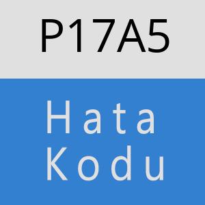 P17A5 hatasi