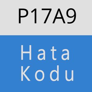 P17A9 hatasi