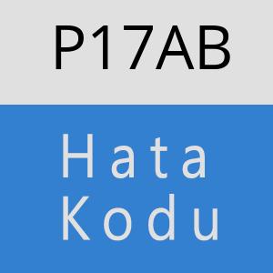 P17AB hatasi