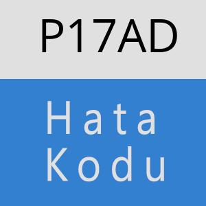 P17AD hatasi