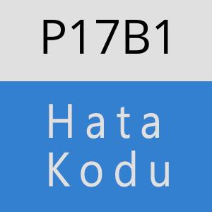 P17B1 hatasi