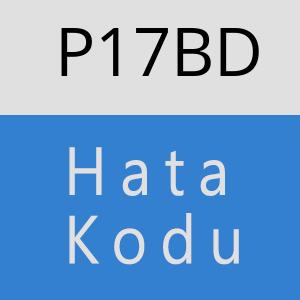 P17BD hatasi