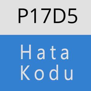 P17D5 hatasi