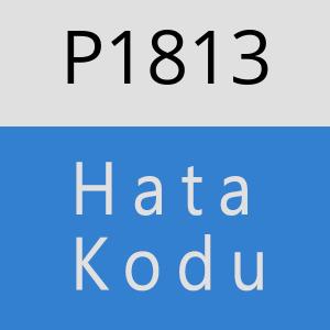 P1813 hatasi