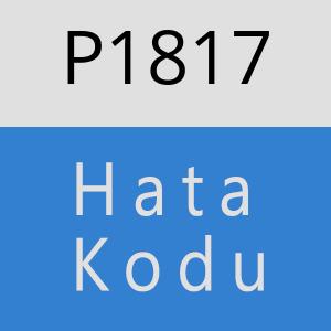 P1817 hatasi