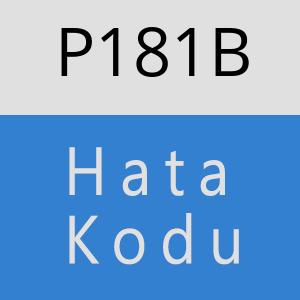 P181B hatasi