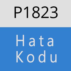 P1823 hatasi