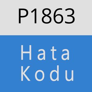 P1863 hatasi