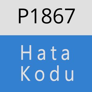 P1867 hatasi