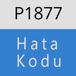 P1877 hatasi