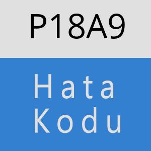 P18A9 hatasi