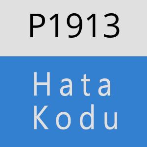 P1913 hatasi