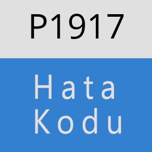 P1917 hatasi