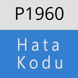 P1960 hatasi