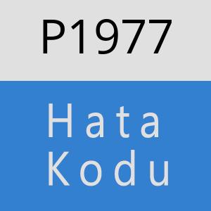 P1977 hatasi