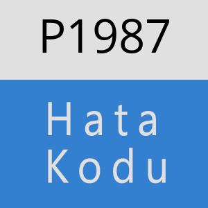 P1987 hatasi