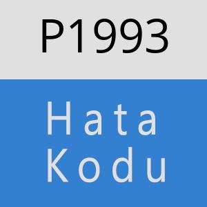 P1993 hatasi