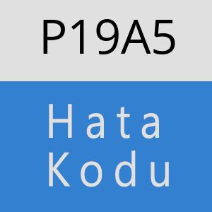 P19A5 hatasi