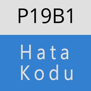 P19B1 hatasi