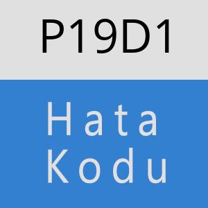 P19D1 hatasi