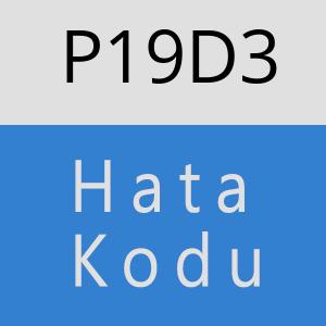 P19D3 hatasi