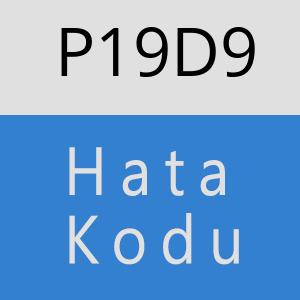 P19D9 hatasi