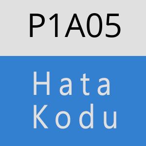 P1A05 hatasi